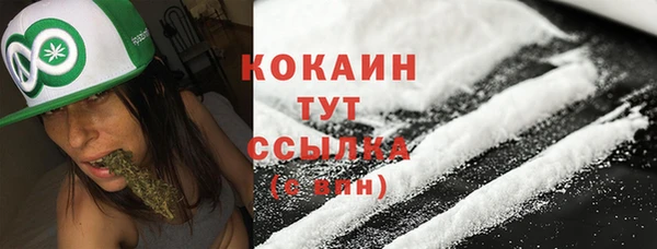 гидра Абаза