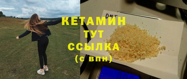 гидра Абаза