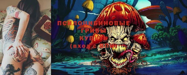 ешки Алексеевка